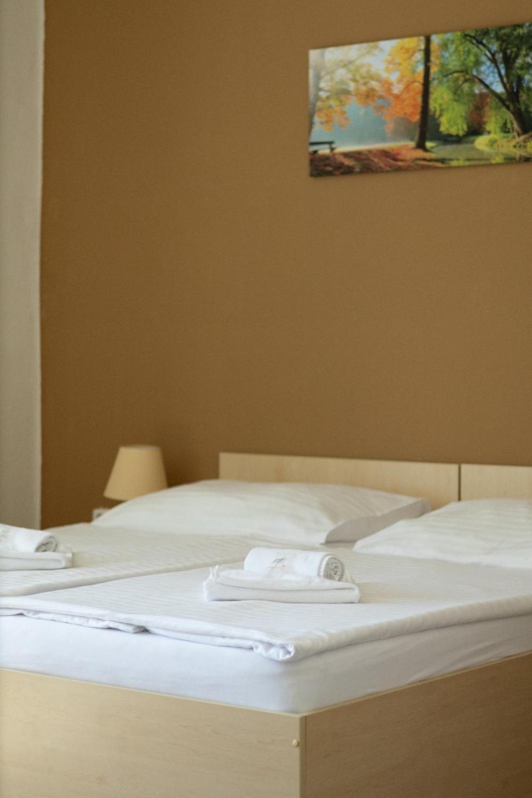 Pension Fontana Podebrady Bagian luar foto