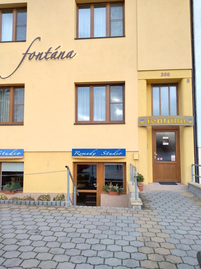 Pension Fontana Podebrady Bagian luar foto